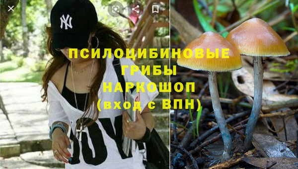 герыч Алексин