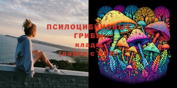 стафф Алзамай