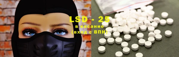стафф Алзамай