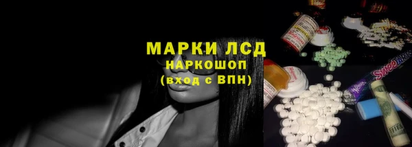 стафф Алзамай