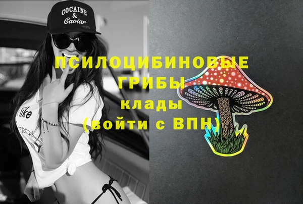 стафф Алзамай